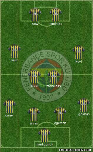 Fenerbahçe SK Formation 2013