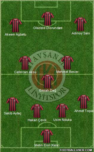 Tavsanli Linyitspor Formation 2013