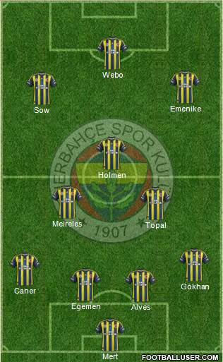 Fenerbahçe SK Formation 2013