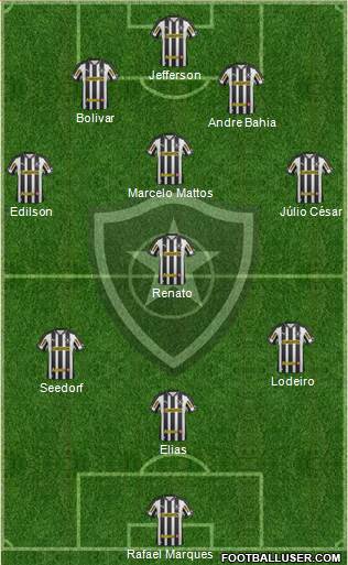 Botafogo FR Formation 2013