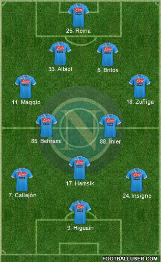 Napoli Formation 2013