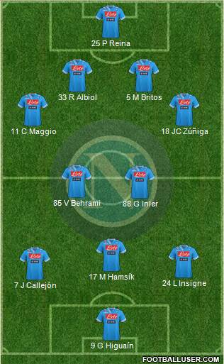 Napoli Formation 2013
