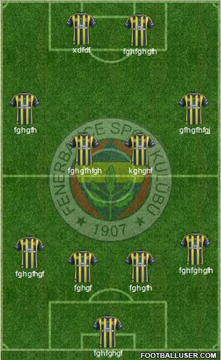 Fenerbahçe SK Formation 2013