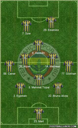 Fenerbahçe SK Formation 2013