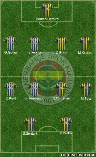 Fenerbahçe SK Formation 2013