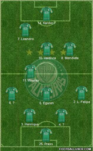SE Palmeiras Formation 2013