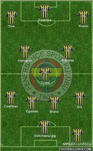 Fenerbahçe SK Formation 2013