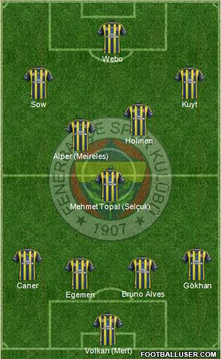 Fenerbahçe SK Formation 2013