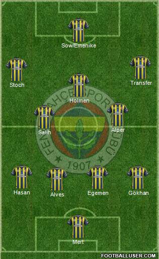 Fenerbahçe SK Formation 2013