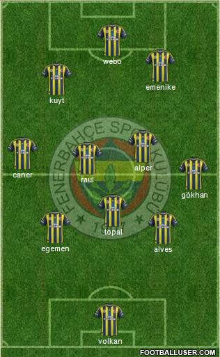 Fenerbahçe SK Formation 2013