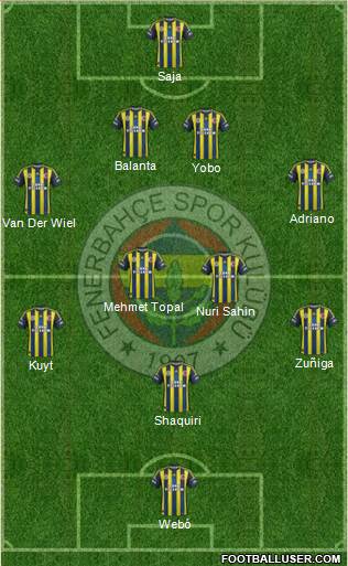 Fenerbahçe SK Formation 2013