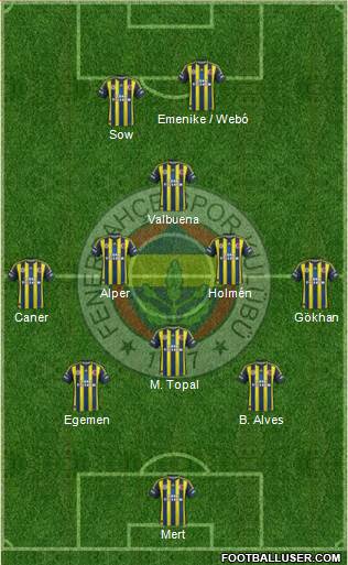 Fenerbahçe SK Formation 2013
