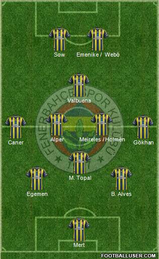 Fenerbahçe SK Formation 2013