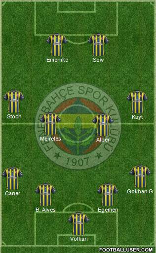 Fenerbahçe SK Formation 2013