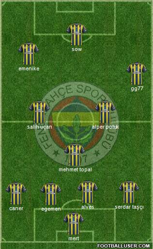 Fenerbahçe SK Formation 2013
