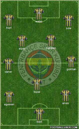 Fenerbahçe SK Formation 2013
