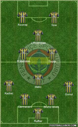 Fenerbahçe SK Formation 2013