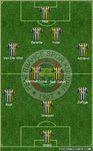 Fenerbahçe SK Formation 2013