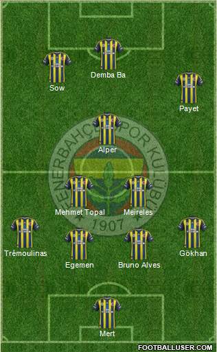 Fenerbahçe SK Formation 2013