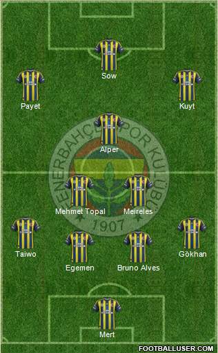 Fenerbahçe SK Formation 2013