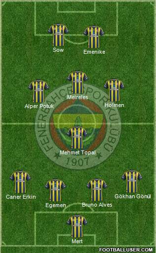 Fenerbahçe SK Formation 2013