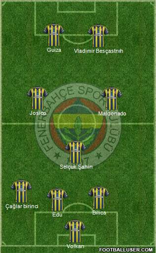 Fenerbahçe SK Formation 2013