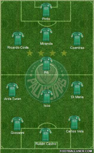 SE Palmeiras Formation 2013