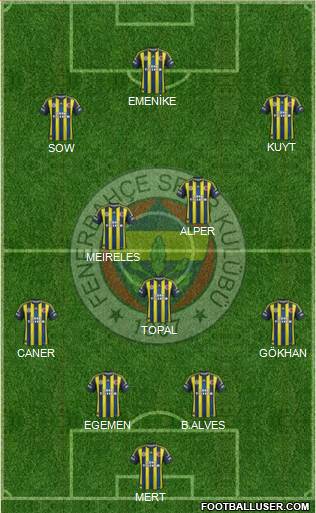 Fenerbahçe SK Formation 2013