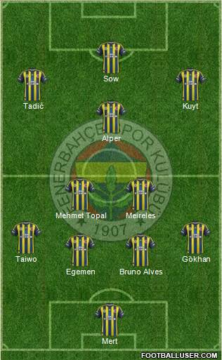 Fenerbahçe SK Formation 2013
