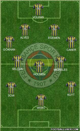 Fenerbahçe SK Formation 2013