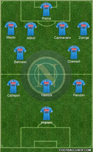 Napoli Formation 2013