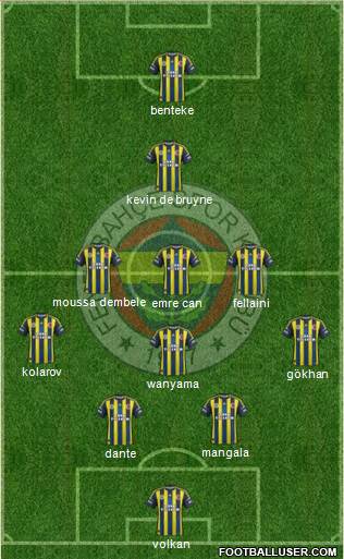 Fenerbahçe SK Formation 2013