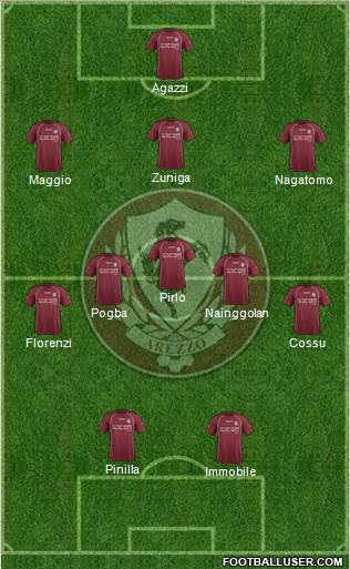 Arezzo Formation 2013