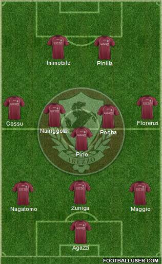 Arezzo Formation 2013