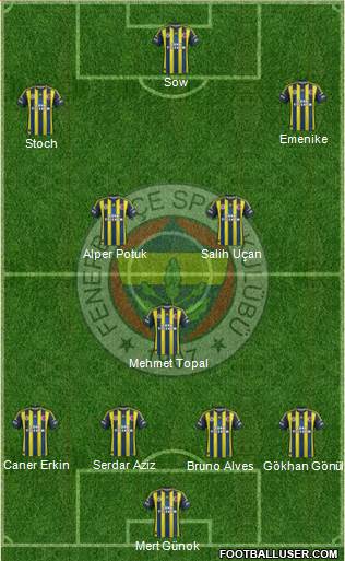 Fenerbahçe SK Formation 2013
