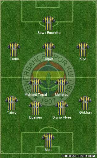 Fenerbahçe SK Formation 2013