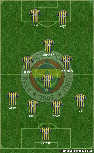Fenerbahçe SK Formation 2013