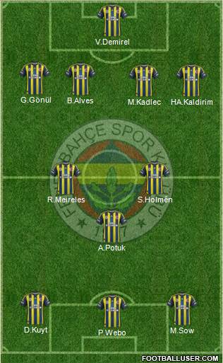 Fenerbahçe SK Formation 2013