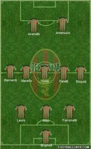 Ternana Formation 2013