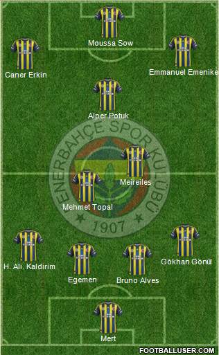 Fenerbahçe SK Formation 2013
