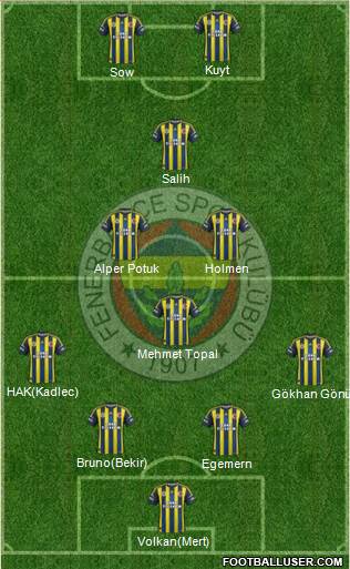Fenerbahçe SK Formation 2013