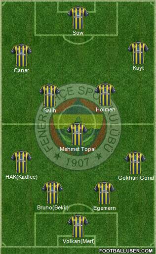 Fenerbahçe SK Formation 2013