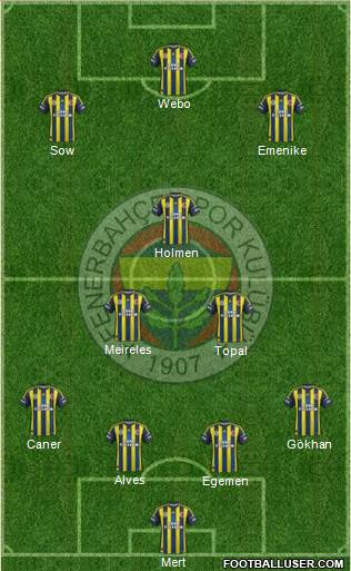 Fenerbahçe SK Formation 2013