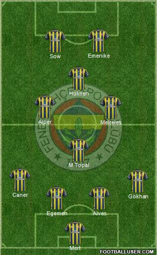 Fenerbahçe SK Formation 2013