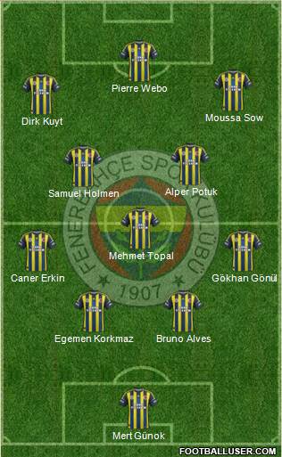 Fenerbahçe SK Formation 2013