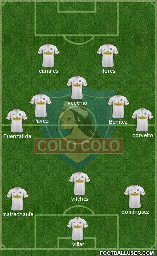 CSD Colo Colo Formation 2013