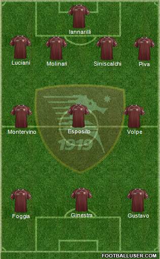 Salernitana Formation 2013