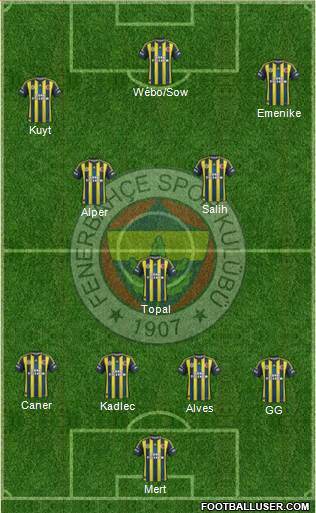 Fenerbahçe SK Formation 2013