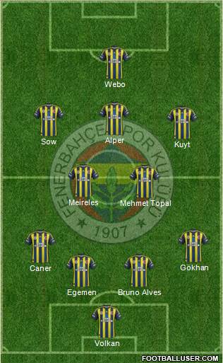 Fenerbahçe SK Formation 2013