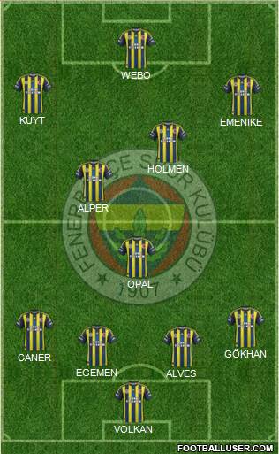 Fenerbahçe SK Formation 2013